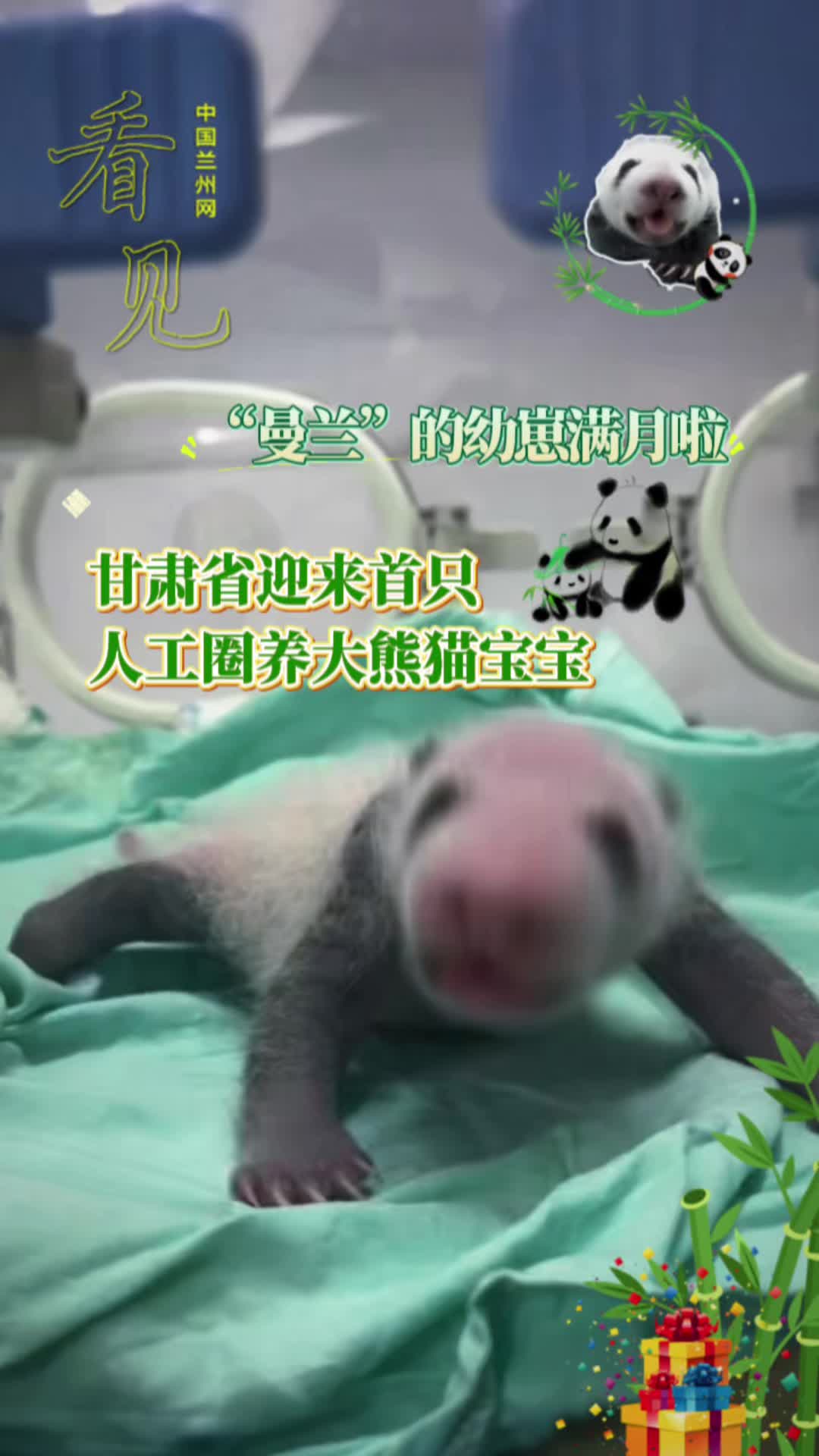 Ҋm̝MCʡӭֻ˹ȦB؈